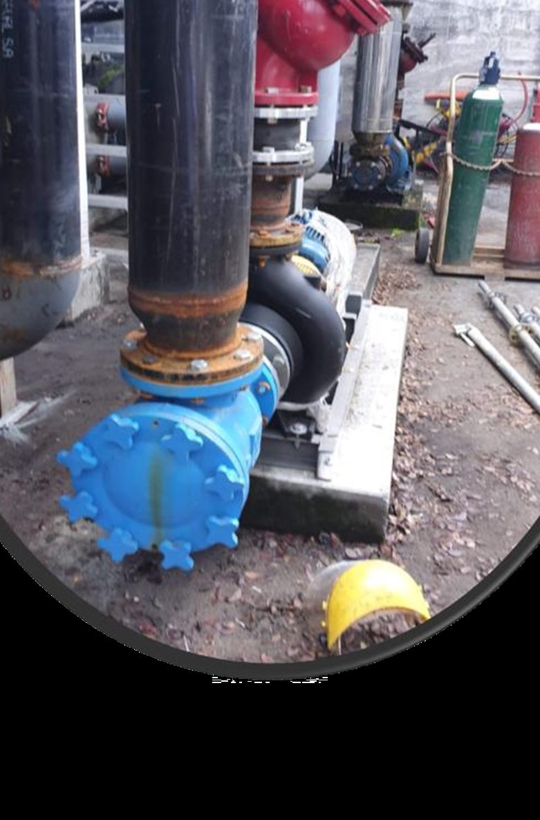 Alimentos